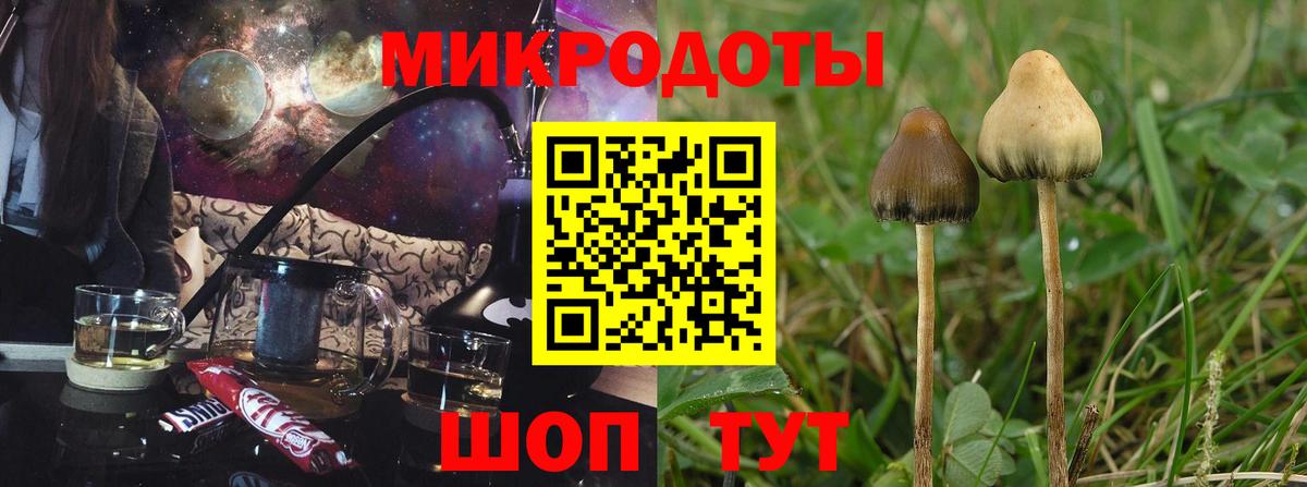 Псилоцибиновые грибы Cubensis  Вход с VPN  Галлюциногенные грибы мицелий  Кизилюрт 